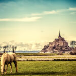 This is a Standard Post.