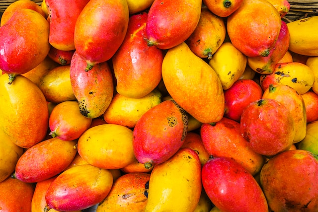மாங்காய்